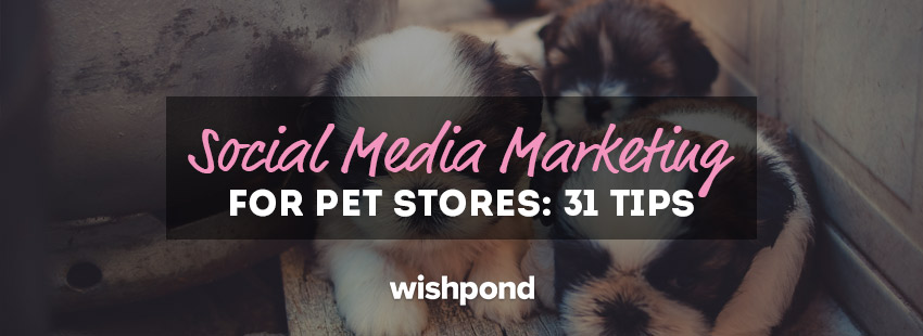 Social Media Marketing for Pet Stores: 31 Tips