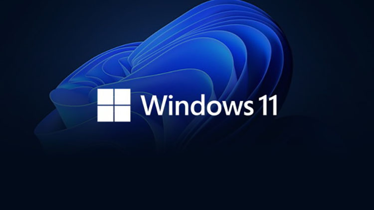 Microsoft: LTSC para Windows 11, faltan tres años
