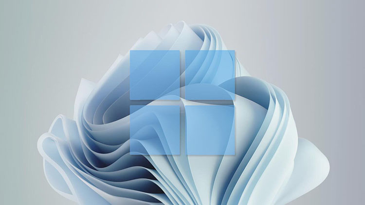 Microsoft envía DMCA para eliminar las fugas de Windows 11