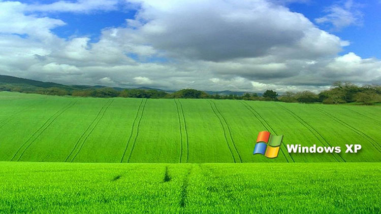 Microsoft fue sorprendido haciendo un tema de Windows XP que se parece a una Mac