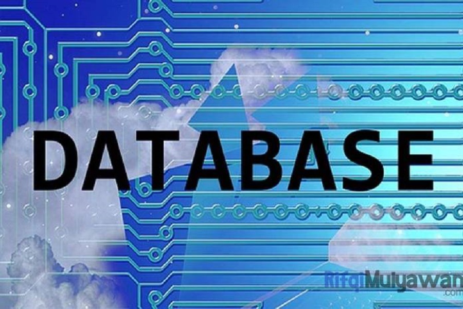 Reconocer los usos y funciones de las bases de datos en los sistemas de información
