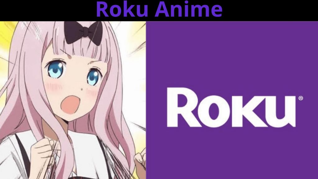 Roku Anime: todo lo que necesitas en detalle