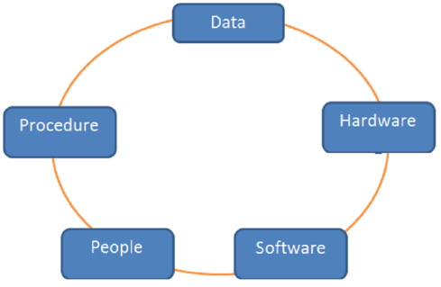 Comprender los sistemas de información gerencial y sus componentes