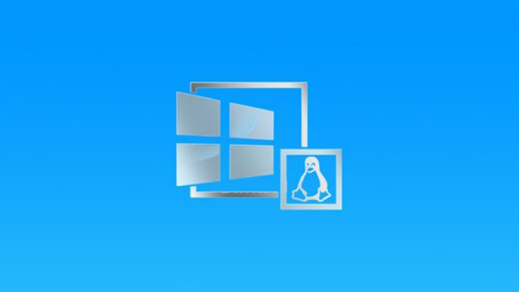 Windowsfx 11, sistema operativo Linux similar a Windows 11 pero no necesita TPM
