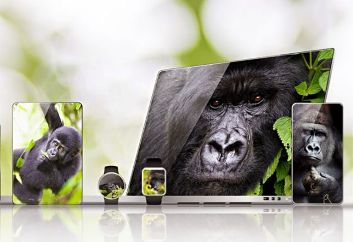 ¡Corning Gorilla Glass Victur puede proteger su teléfono incluso si se cae desde 180 CM!