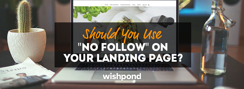 Should You Use "No Follow" on Your Landing Pages?