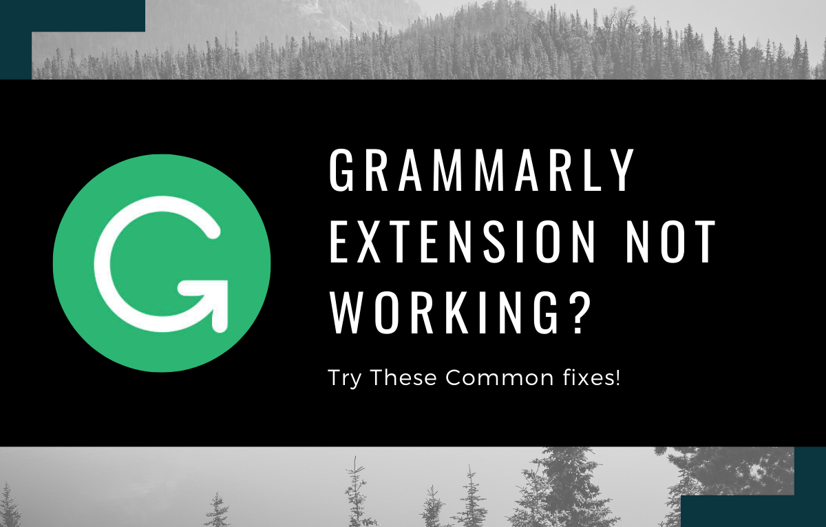 ¿La extensión Grammarly Chrome no funciona?  ¡Prueba estas soluciones comunes!